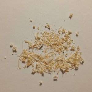 May include: A pile of light beige wood shavings and small, round pieces scattered on a white surface. The shavings are thin and curled, with a slightly textured appearance. The overall composition suggests a woodworking or craft project.