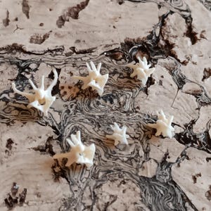 May include: Six small, off-white, bone-like objects are scattered on a textured, light brown surface. The objects have a complex, branching structure, resembling miniature skeletal forms. The background has a marbled appearance with dark brown and black swirls.
