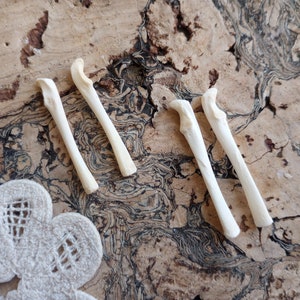 May include: Four small, off-white bone fragments are arranged on a textured, brown surface. The bones have a curved end and a long, slender shaft. A white, flower-shaped lace doily is partially visible in the lower left corner.