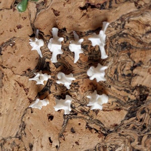 May include: A collection of small, white, bone-like objects arranged on a textured, brown cork surface. The objects have intricate shapes, possibly representing anatomical models or decorative pieces. The background is a natural corkboard.