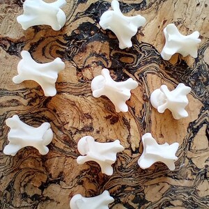 May include: A collection of eleven small, white, bone-shaped objects scattered on a brown, patterned surface. The objects appear to be vertebrae, possibly for crafting or educational purposes. The background has a natural, wood-like texture.