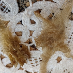May include: Two pieces of shed reptile skin, tan in color, are displayed on a white lace doily. The skin pieces have a textured, scale-like appearance. The background includes a patterned surface and a touch of greenery.