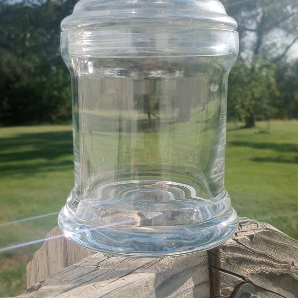 Glass Terrarium Ball Etsy