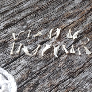 DeathTaxUSA • #A24 - 50+ Real Animal TINY Mixed Rodent Bone Lot | Rat Rats Mice Mouse Bones | Oddity Curio Oddities | Taxidermy Specimen