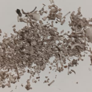 May include: A collection of small, off-white animal bones scattered on a white surface. The bones vary in size and shape, with some appearing to be ribs, vertebrae, and limb bones. The overall color is a muted beige, with some darker spots.