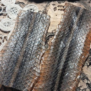 May include: Two pieces of snake skin with a scale pattern in shades of silver, gray, and brown. The skin has a textured appearance and is slightly curved. The background includes a white lace doily.