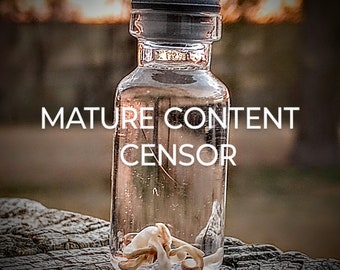 DeathTaxUSA • #11 - Real Animal Mammal Roundworms Lot | Round Worms Worm Roundworm | Spirit Curio Curiosity Oddities | Taxidermy Specimen