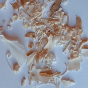May include: An overhead shot of a collection of small, off-white animal bones and bone fragments. Some pieces have a light brown hue. The bones are scattered across a white surface, with some overlapping. The image is well-lit, highlighting the textures and shapes of the bones.
