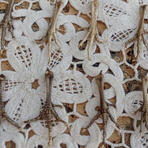 May include: An overhead shot displays several dried bird feet arranged on a white lace doily. The feet are a light brown color, with visible claws and textured skin. The doily is placed on a corkboard surface.