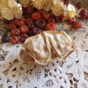 May include: A beige, crumpled fabric object with small, scattered embellishments, possibly a decorative element. It rests on a white, floral-patterned lace doily, surrounded by miniature pumpkins in shades of red and brown, and gold glittery leaves.