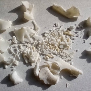 May include: An overhead shot displays a collection of small, off-white bone fragments and pieces. The fragments vary in size and shape, with some appearing to be small bones and others resembling larger, broken pieces. The scattered arrangement suggests a natural or organic theme.