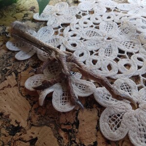 May include: A dried bird foot with claws, resting on a white lace doily with a floral pattern. The foot is brown and tan, with visible scales and sharp claws. The background is a cork surface.
