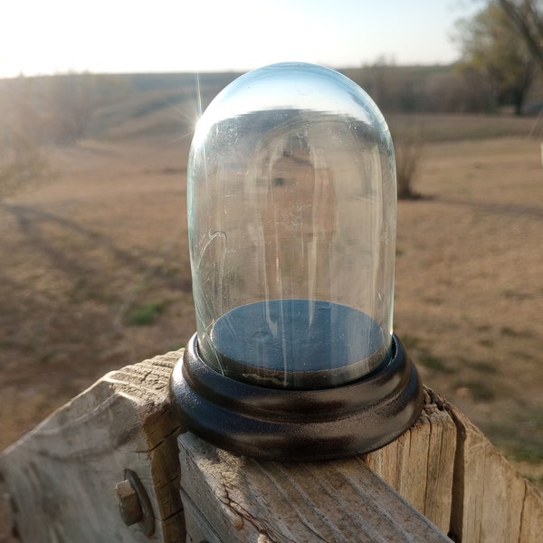 DeathTaxUSA • IMPERFECT Small Glass Miniature Mini Cloche with Stand Base | Display Home Decor Storage Terrarium | Taxidermy Specimen