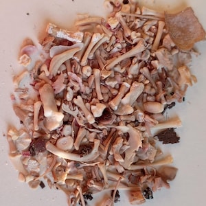 May include: A pile of small, light-colored animal bones, including ribs and leg bones, with some darker fragments. The bones are scattered on a white surface, creating a textured, natural arrangement.
