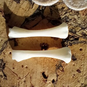 May include: Two white, bone-like objects are displayed on a textured, brown surface. The objects are elongated with rounded ends and a slight curve. The background features a natural, organic pattern.