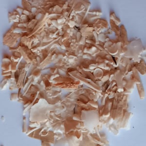 May include: A pile of small, off-white bone fragments and pieces, with some tan and brown hues. The fragments vary in shape and size, suggesting a collection of natural, organic material. The image is taken from a top-down perspective.
