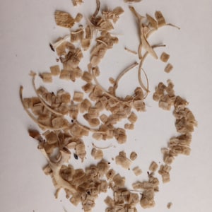 May include: An overhead shot displays a collection of dried, beige plant matter scattered across a white surface. The composition includes small, square-shaped pieces and thin, curved stems, creating a natural, organic texture.