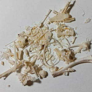 May include: A collection of small, off-white animal bones scattered on a white surface. The bones vary in size and shape, including ribs, vertebrae, and other skeletal fragments. The lighting creates subtle shadows, highlighting the textures of the bones.