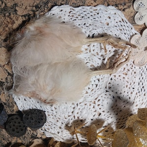 DeathTaxUSA • #2599 - Real Animal Domestic Chicken Chick Foot Set | Feet Bird Hoodoo Voodoo | Weird Curio Oddities | Taxidermy Specimen