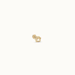 Paw Piercing, 14K Solid Gold Tragus Piercing, Minimalist Dainty Piercing, Helix Piercing, Animal Lover Gift Ideas