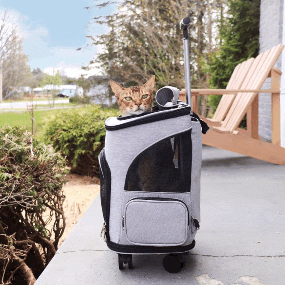 Convertible Pet Backpack Large Dog Backpack Modern Cat Etsy