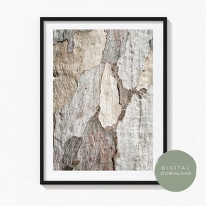 Eucalyptus Bark Wall Art Print | Digital Download
