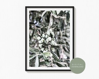 Green Olives Wall Art Print | Digital Download