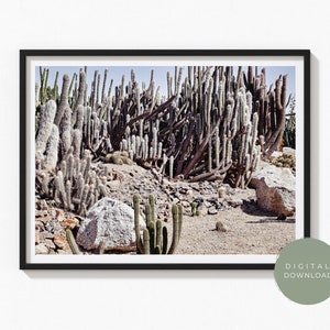 Cactus Canyon I Wall Art Print | Desert | Landscape | Digital Download