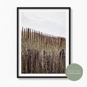 Coastal Beach Seagrass Photography Wall Art Print | Digital Download