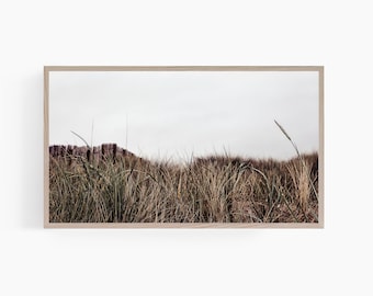 Grama marinha Samsung Frame TV Art | Download digital