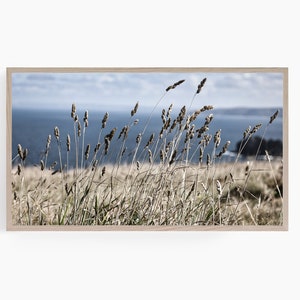 Seaside Meadow Samsung Frame TV Arte / Descarga digital
