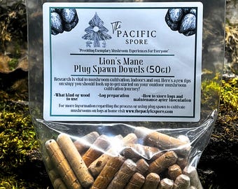 tobacco plugs crossword ThePacificSpore