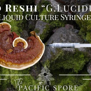 May include: Red Reishi "G. Lucidum" Liquid Culture Syringe. A close-up of a red and brown mushroom with a white edge, sitting on a bed of green moss. The syringe is clear with black lettering and a white cap.