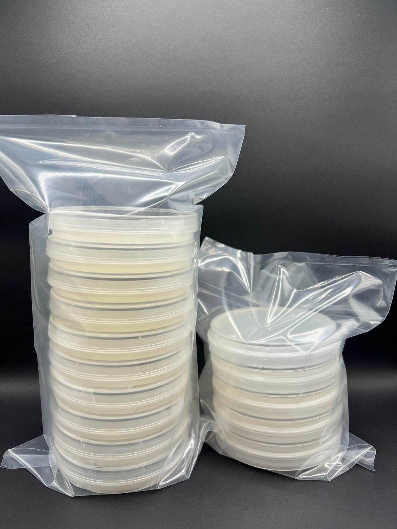 Sterile Water Agar Plates Etsy