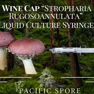 Wine Cap Mushroom Liquid Culture Syringe *Stropharia Rugosoannulata*