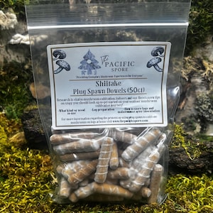 Shiitake-paddenstoelplug spawn