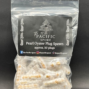 Pearl Oyster Mushroom Plug Spawn 50 pack