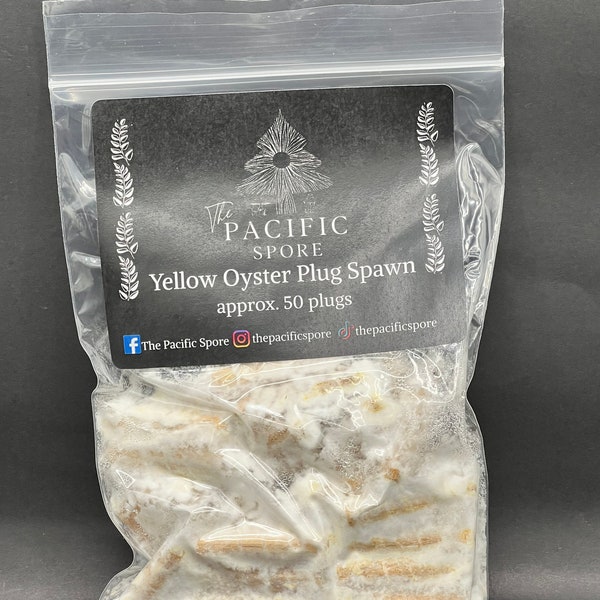 Yellow Oyster Mushroom Dowel Plug Spawn