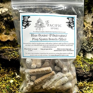 Blue Oyster Mushroom Plug Spawn