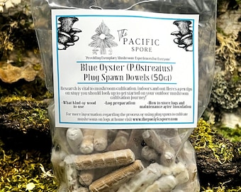 Blue Oyster Mushroom Plug Spawn