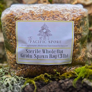May include: A clear plastic bag filled with brown whole oat grain spawn. The bag has a white label with the text "The Pacific Spore" and "Providing Exemplary Mushroom Experiences For Everyone". The label also says "Sterile Whole Oat Grain Spawn Bag (3lb)".