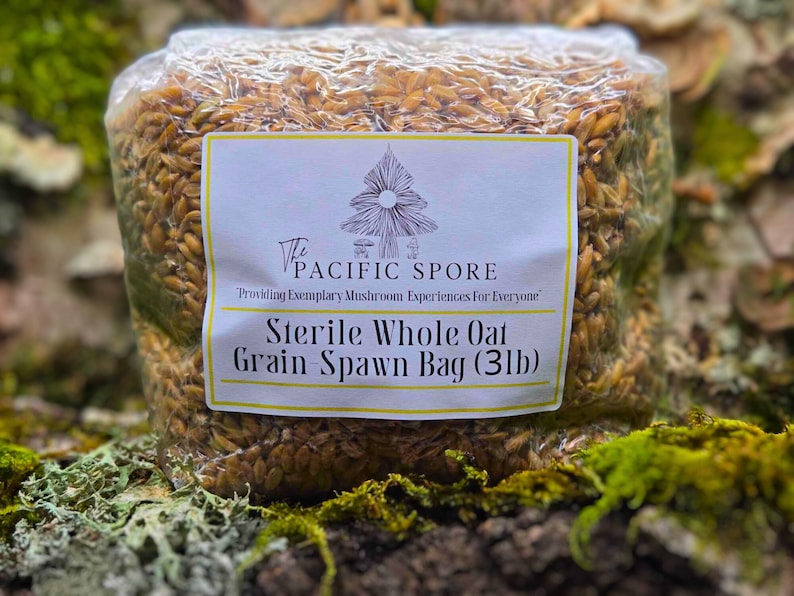 May include: A clear plastic bag filled with brown whole oat grain spawn. The bag has a white label with the text "The Pacific Spore" and "Providing Exemplary Mushroom Experiences For Everyone". The label also says "Sterile Whole Oat Grain Spawn Bag (3lb)".