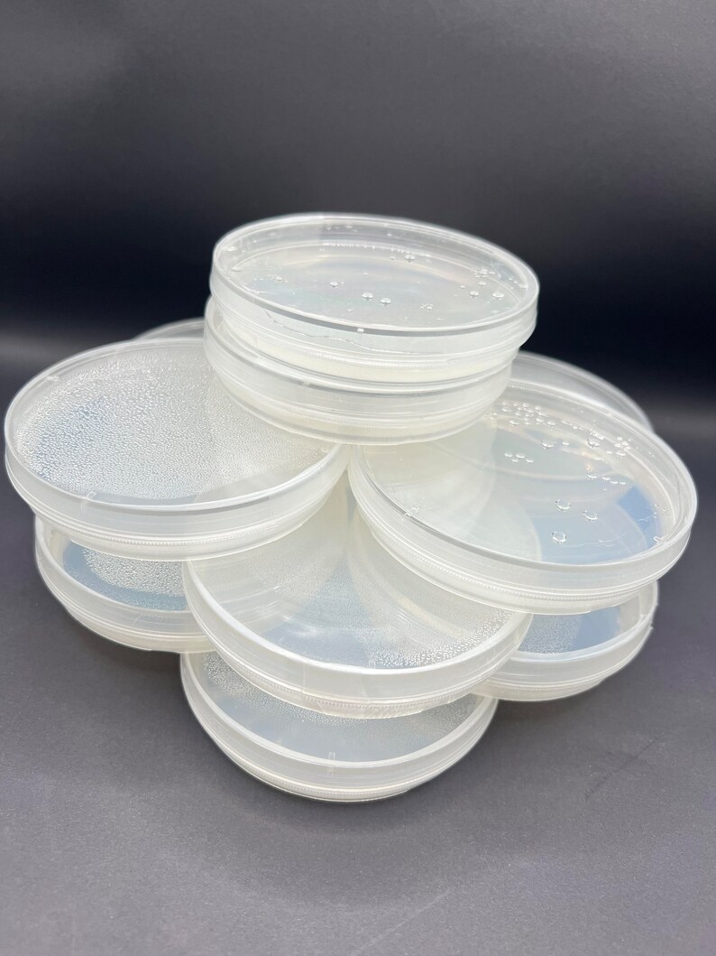 Sterile Water Agar Plates Etsy