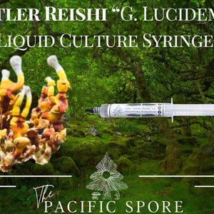 Antler Reishi Mushroom Liquid Culture Syringe *Ganoderma Multipillium *