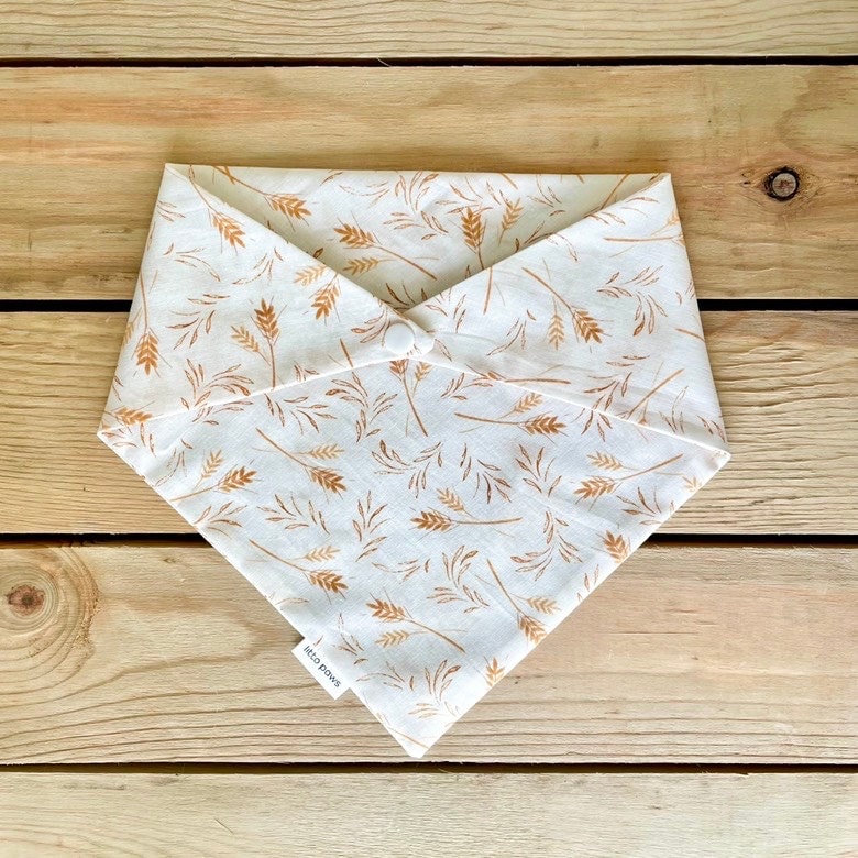 Cute Hand Drawn Neutral Aesthetic Fall Set Pet Bandana for Sale by  TheEclecticKat