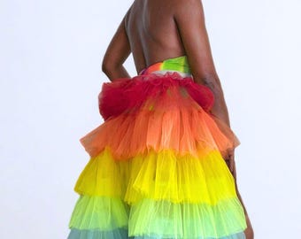 Rainbow Revelry Tulle Bustle Skirt