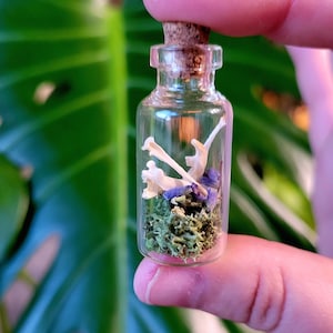Mini Bone Terrarium: Tiny Glass Jar with Moss & Dried Flower