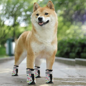 orthopedic dog boots uk