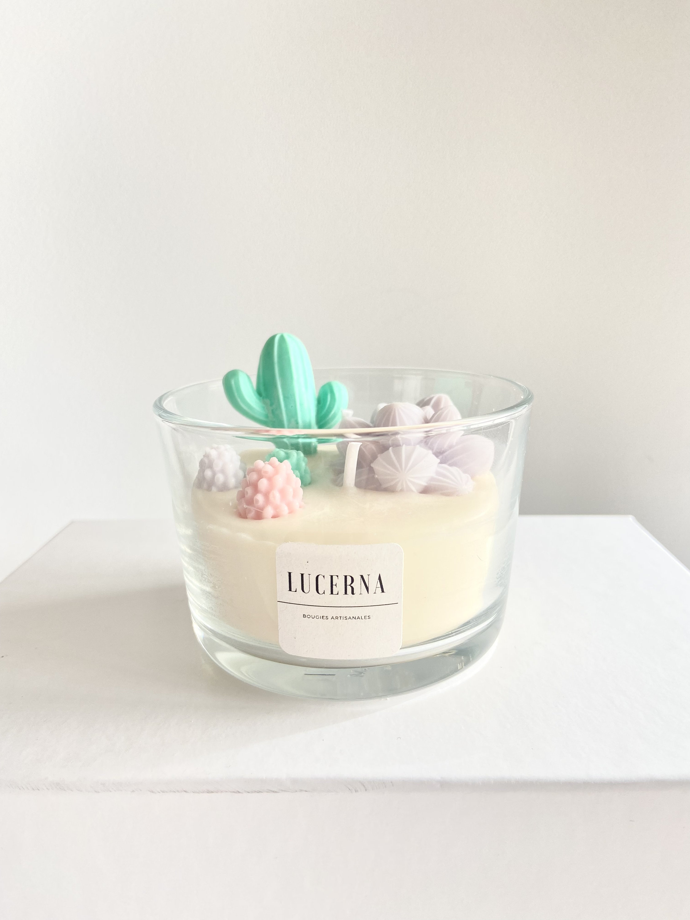 Bougie Artisanale Terrarium