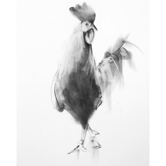 The Rooster (original Charcoal Drawing) UK